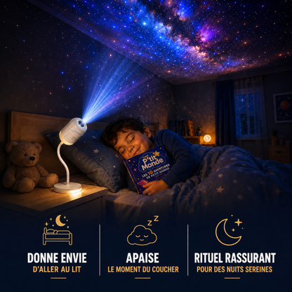 LumiRêve® + 12 projections