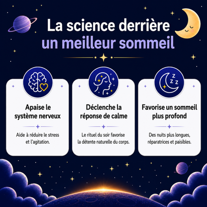 LumiRêve® + 12 projections