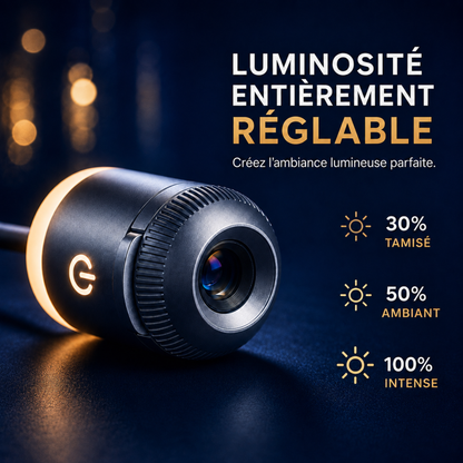 LumiRêve® + 12 projections